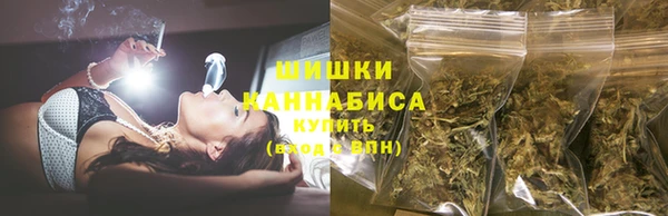 прущие крисы Белокуриха