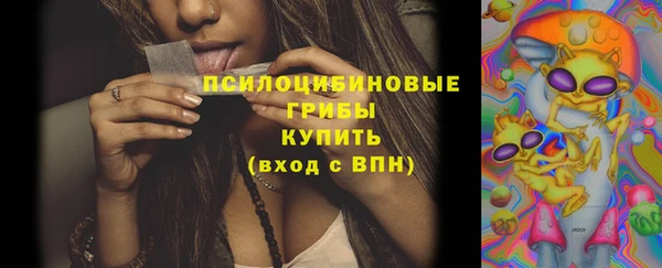 прущие крисы Белокуриха