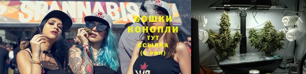 прущие крисы Белокуриха