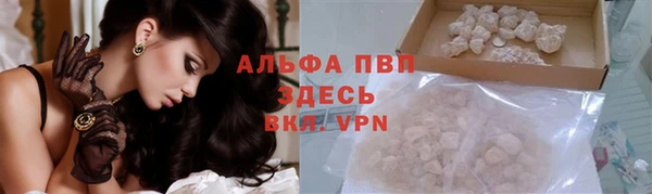прущие крисы Белокуриха